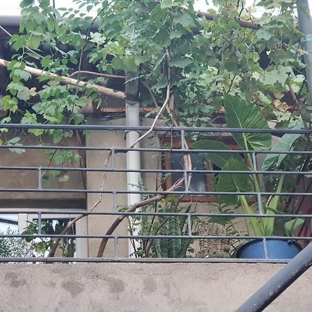 2 Santeli Turn Guest House Τυφλίδα Εξωτερικό φωτογραφία